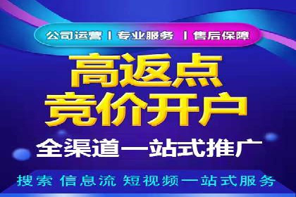 关键词竞价排名实战案例精选解析